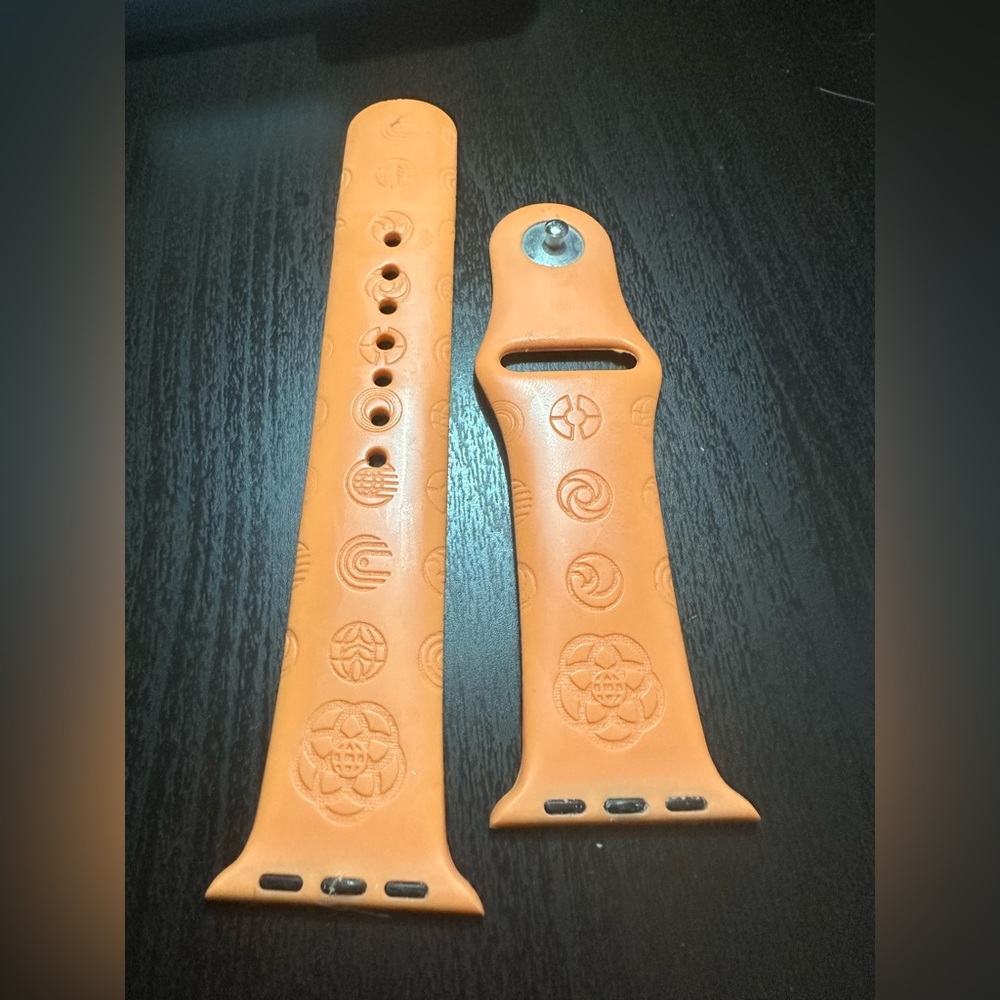 Epcot Apple Watch Band